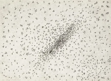 Multiplo Ruscha - Insect Slant (Ants) (from Reality & Paradoxes)