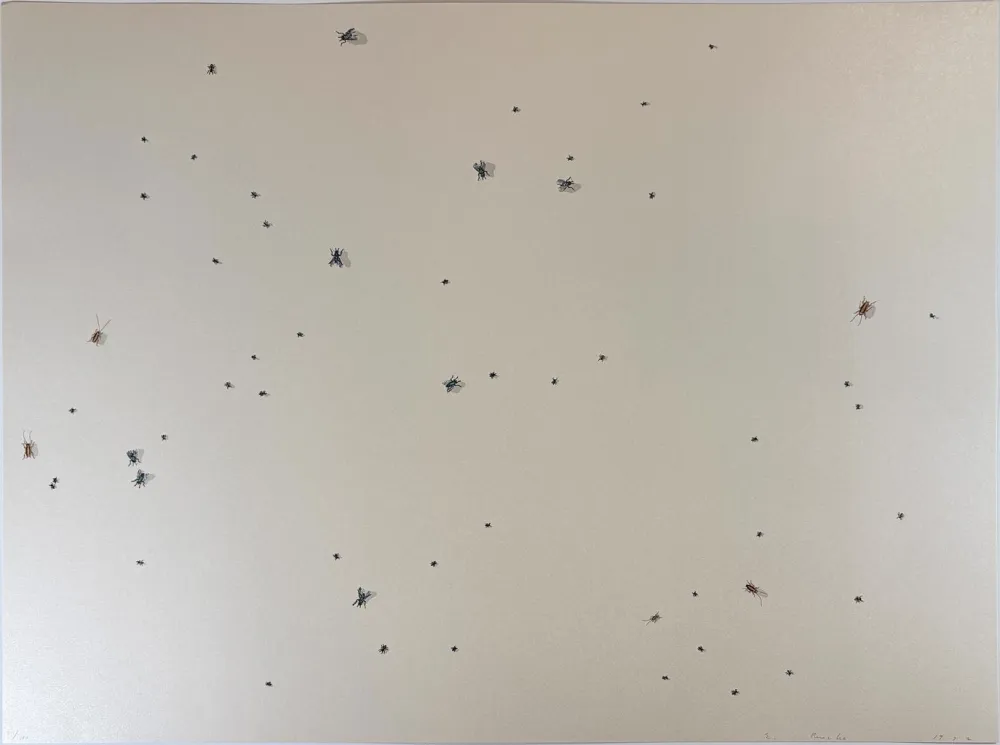 Serigrafia Ruscha - Pearl Dust Combination from the Insects Portfolio
