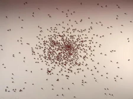 Serigrafia Ruscha - Swarm of Red Ants from the Insects Portfolio