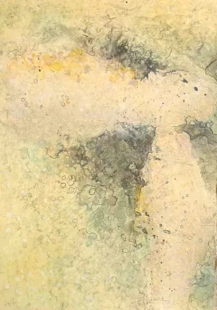 Incisione Salinas - Dalet I