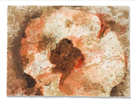 Incisione Salinas - Hongo