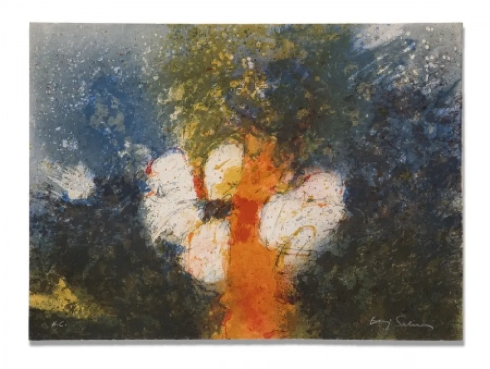 Incisione Salinas - Insoldable 