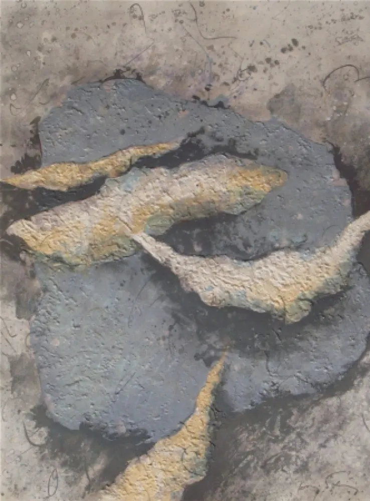 Incisione Salinas - White pictogram