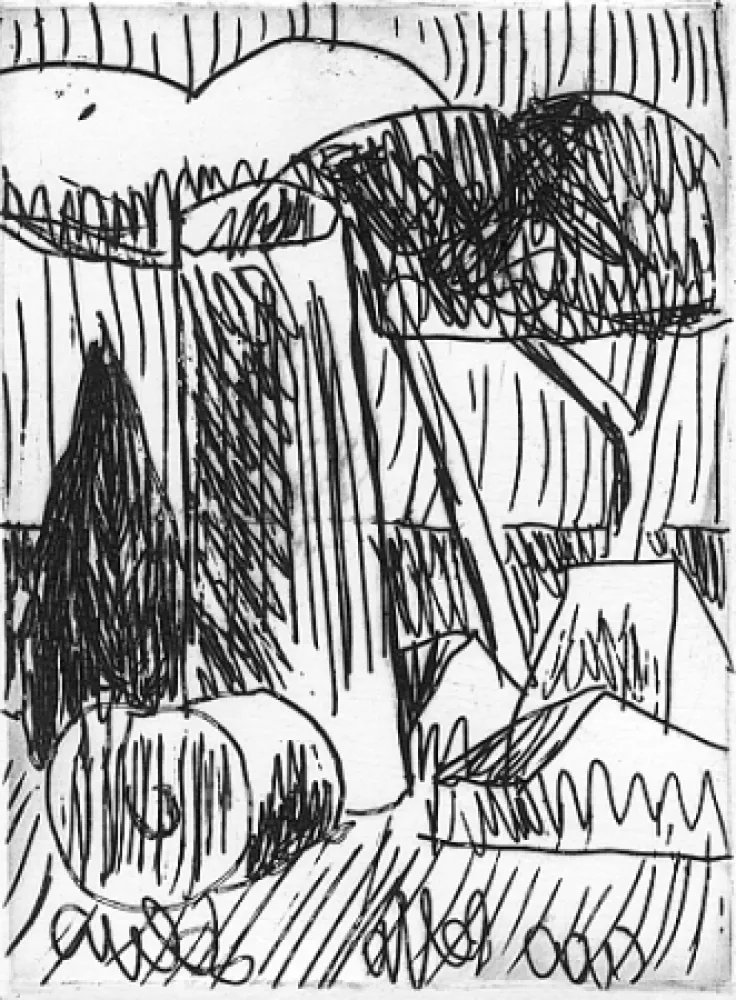 Libro Illustrato Salvo - Nascere due volte