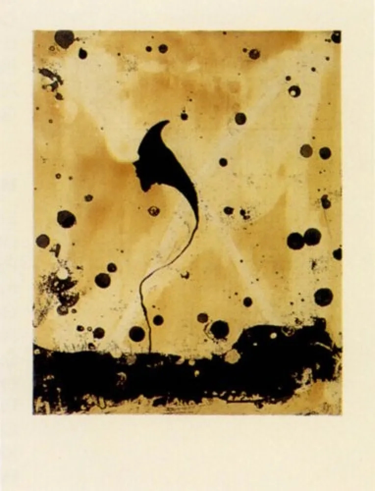 Incisione Santibañez - Flor