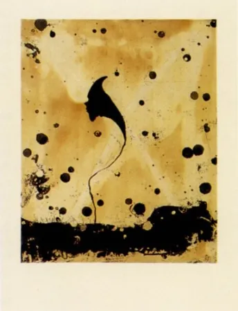 Incisione Santibañez - Flor