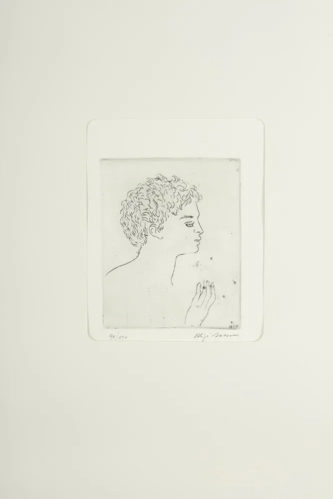 Punta Secca Sassu - Testa di Argonauta