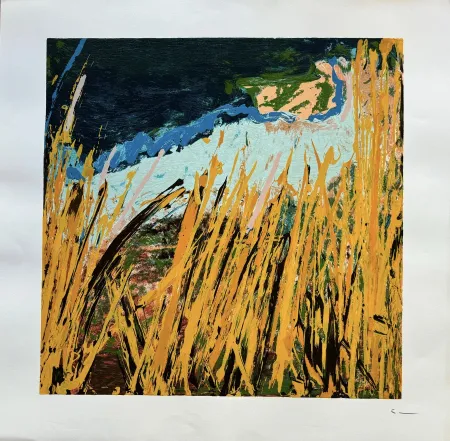 Litografia Schifano - Mario Schifano (1934–1998) - Campi da terra - Enamel screen printing - 1990