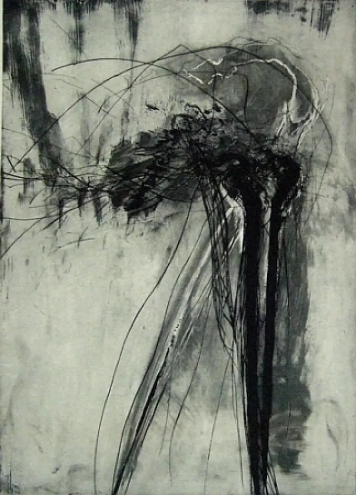 Punta Secca Schober - Richiamo