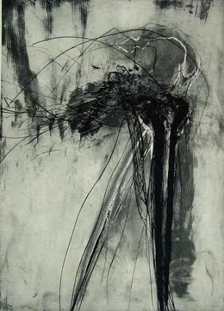 Punta Secca Schober - Richiamo