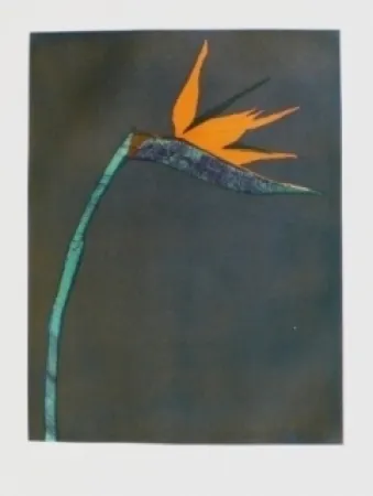 Incisione Scholder - Flower at Barcelona