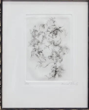 Incisione Schultze - SENZA TITOLO