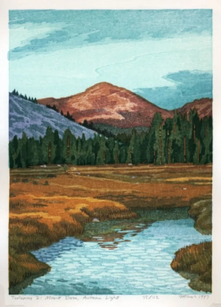 Incisione Su Legno Schwaberow - Tuolumne 2: Mount Dana, Autumn Light