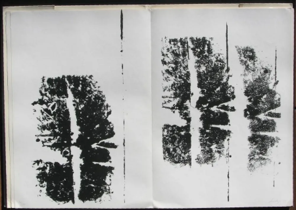 Libro Illustrato Scialoja - Toti Scialoja. Quattro litografie