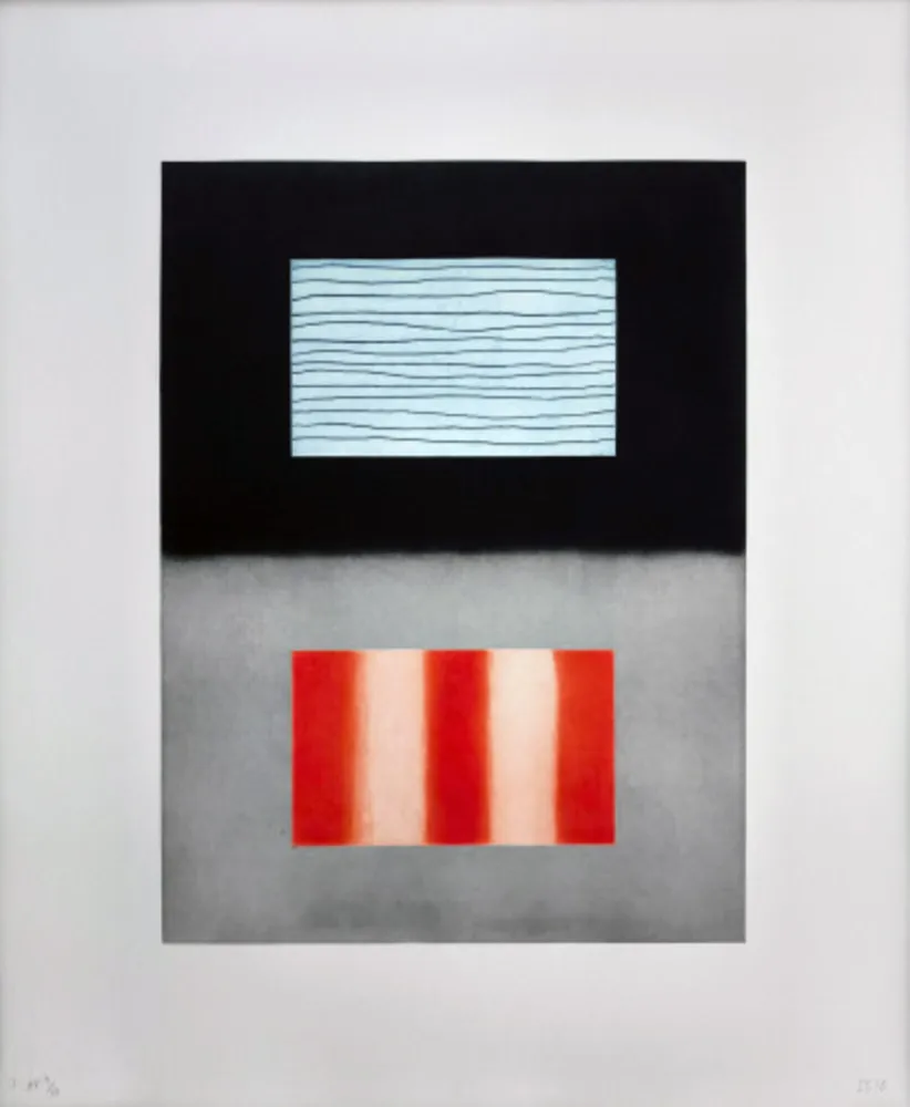 Acquaforte E Acquatinta Scully - Liliane 3