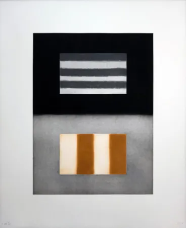 Acquaforte E Acquatinta Scully - Liliane 4