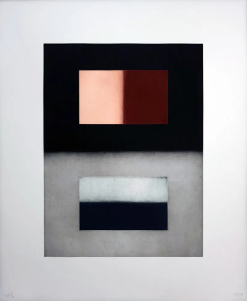 Acquaforte E Acquatinta Scully - Liliane 5