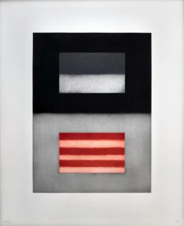 Acquaforte E Acquatinta Scully - Liliane 7