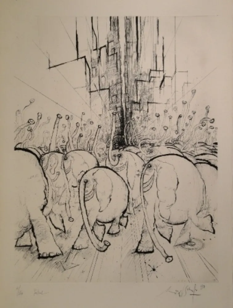 Acquaforte Searle - Festival