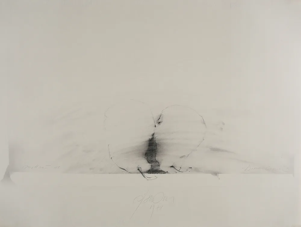 Non Tecnico Sensen - Mettnau 11.  Birnen-vaginal