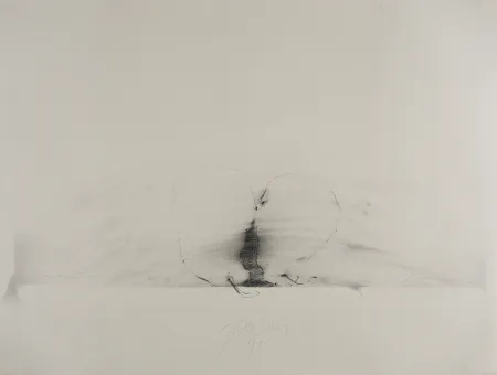 Non Tecnico Sensen - Mettnau 11.  Birnen-vaginal