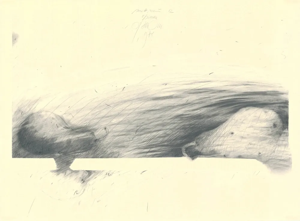 Non Tecnico Sensen - Mettnau 12 — 2 Birne