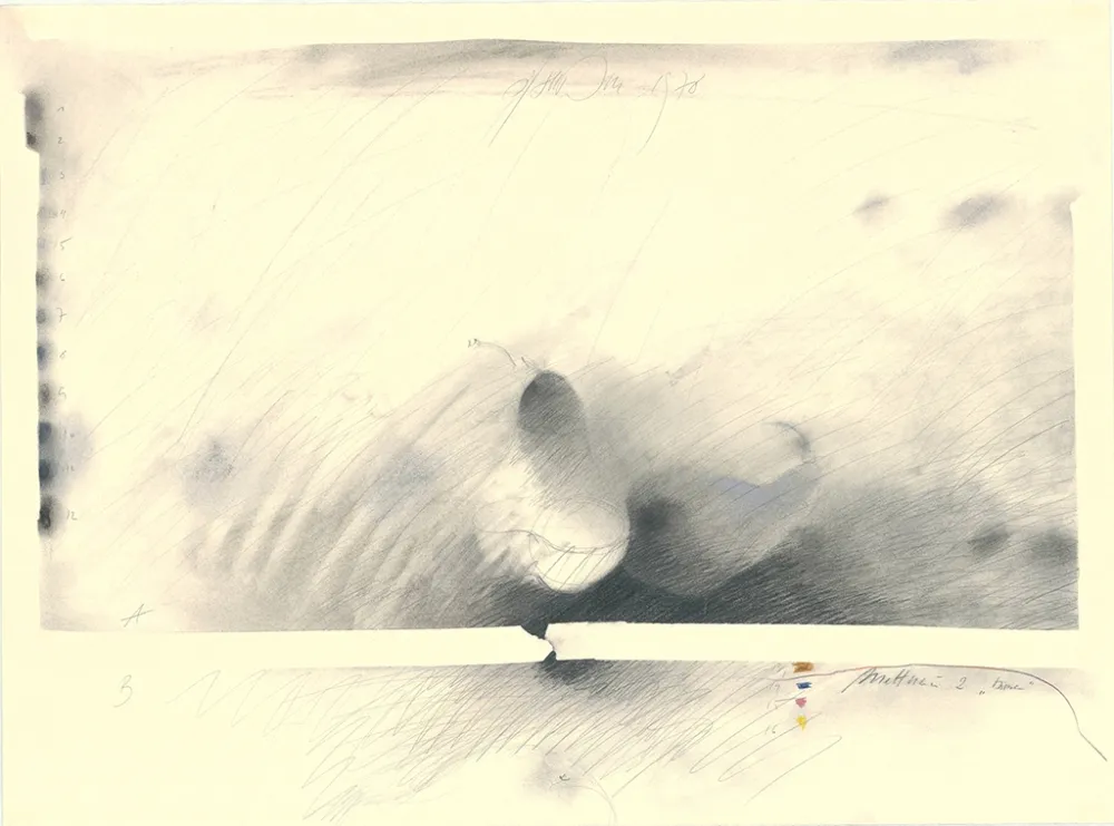 Non Tecnico Sensen - Mettnau 2 — Birne