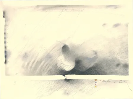 Non Tecnico Sensen - Mettnau 2 — Birne