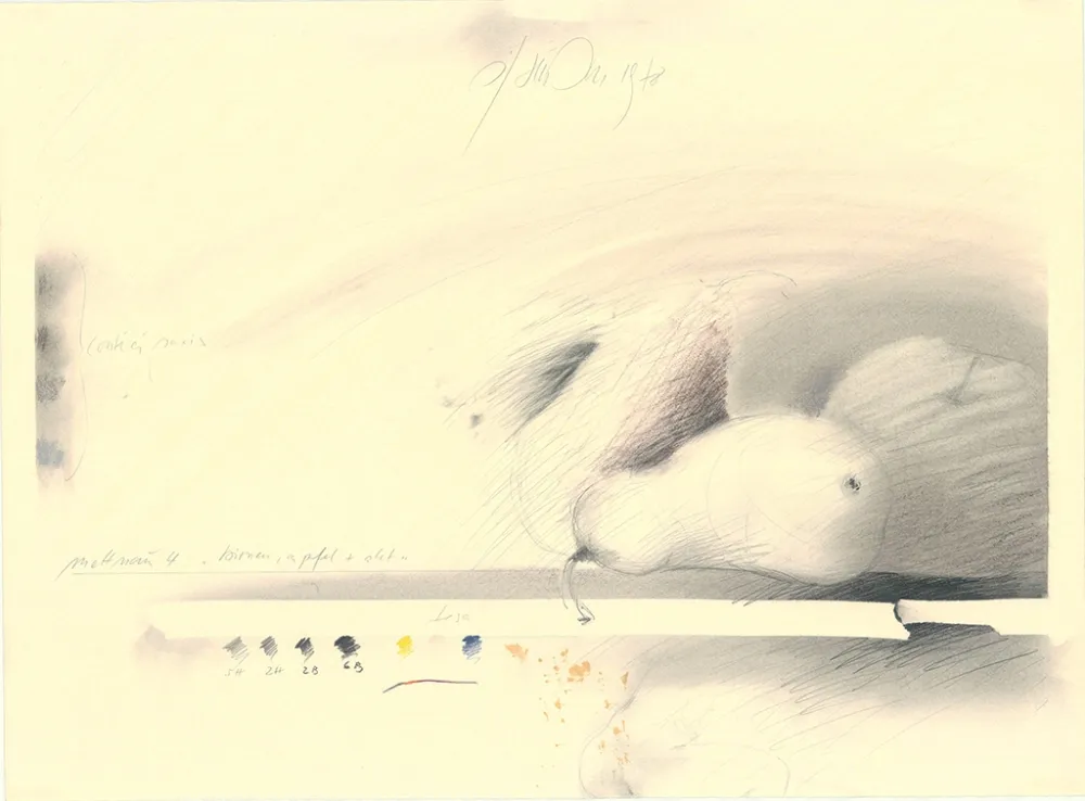 Non Tecnico Sensen - Mettnau 4—Birnen, Apfel + Akt