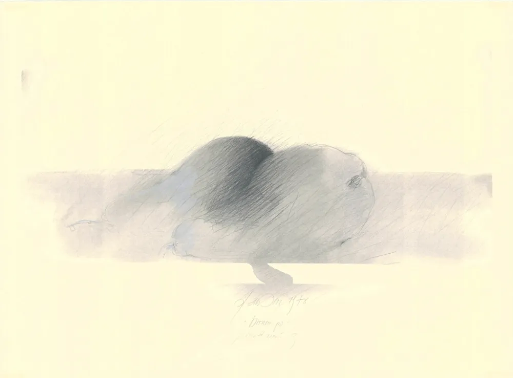 Non Tecnico Sensen - Mettnau 9.  Birnen po