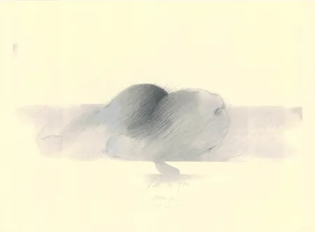 Non Tecnico Sensen - Mettnau 9.  Birnen po