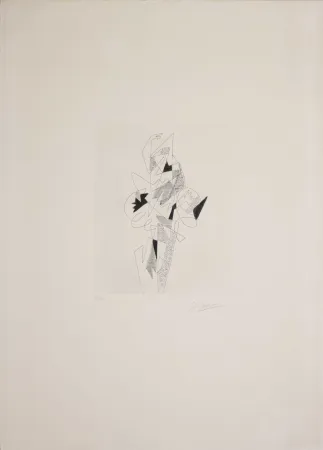 Acquaforte Severini - Arlecchino