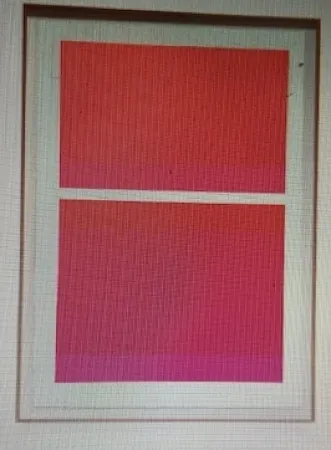 Serigrafia Shepherd - State Theater on Bikini Pink