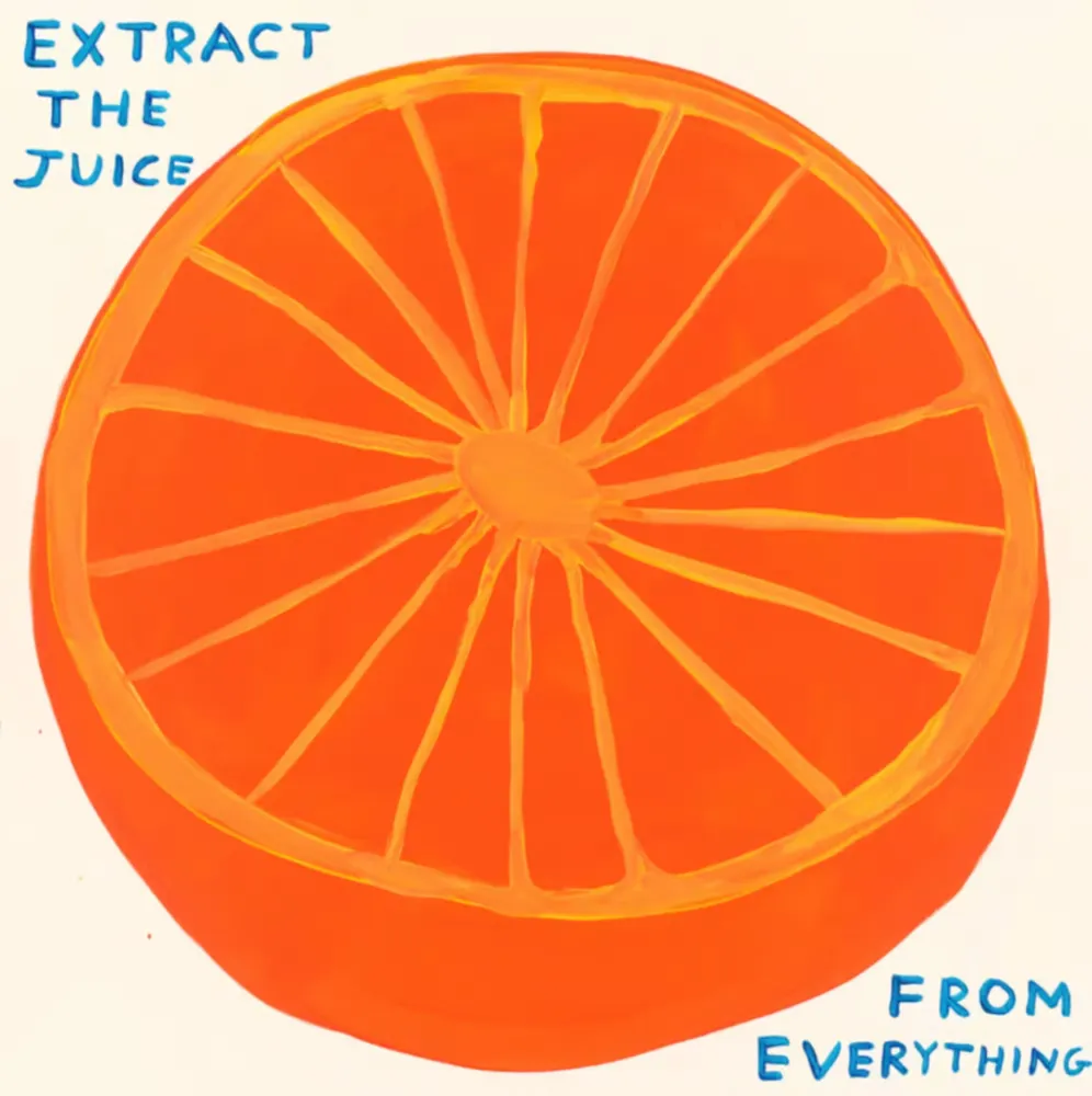 Serigrafia Shrigley - Extract The Juice