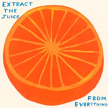 Serigrafia Shrigley - Extract The Juice