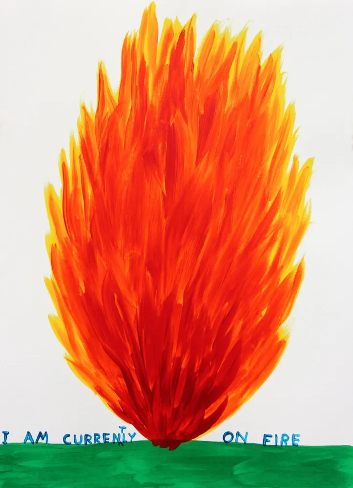 Serigrafia Shrigley - I Am Currently On Fire