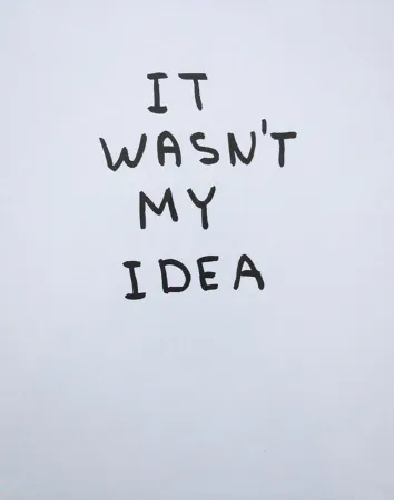 Multiplo Shrigley - It Wasn't My Idea