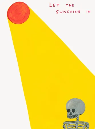 Serigrafia Shrigley - Let The Sunshine In