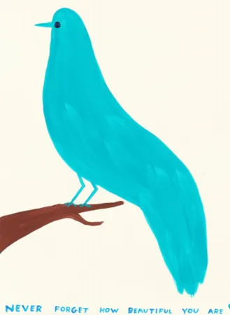 Multiplo Shrigley - Never Forget How Beautiful You Are