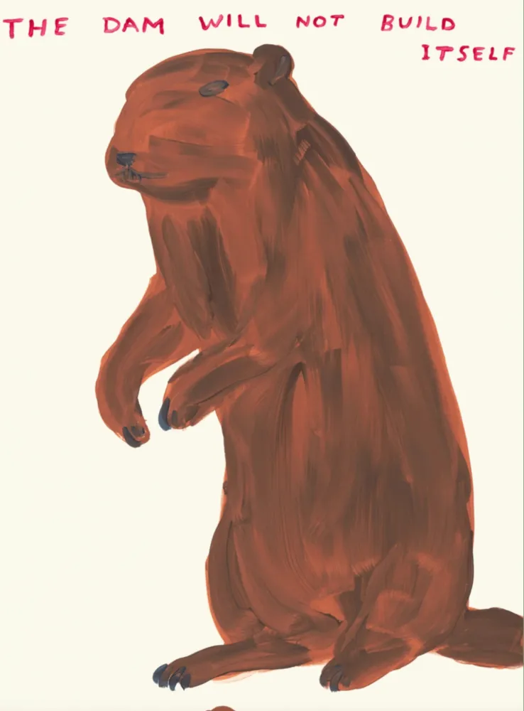 Serigrafia Shrigley - The Dam Will Not Build Itself