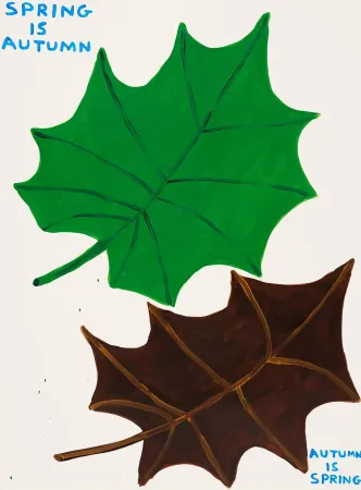 Non Tecnico Shrigley - Untitled 3 from Free South Africa, 1985