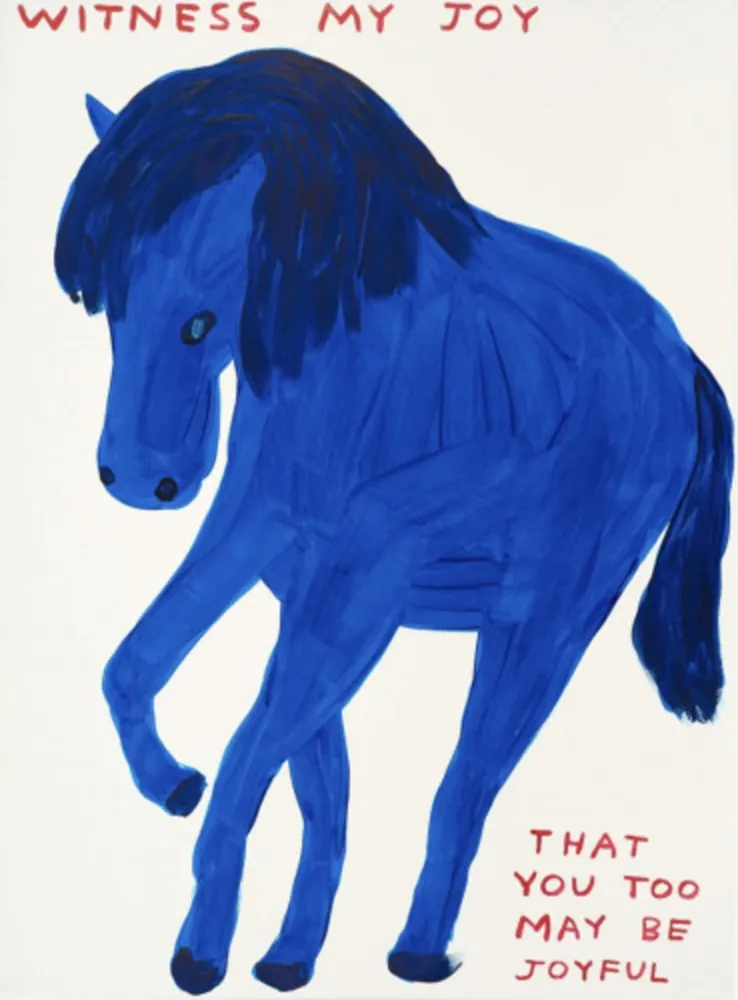 Serigrafia Shrigley - Witness My Joy