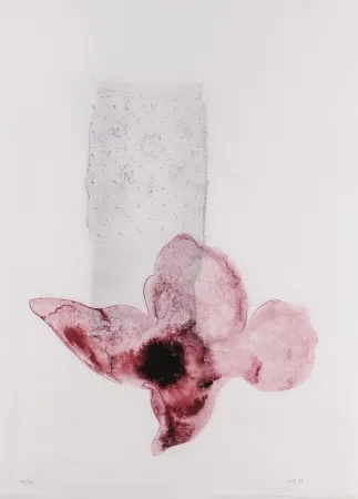 Litografia Sicilia - Composición (Flor)