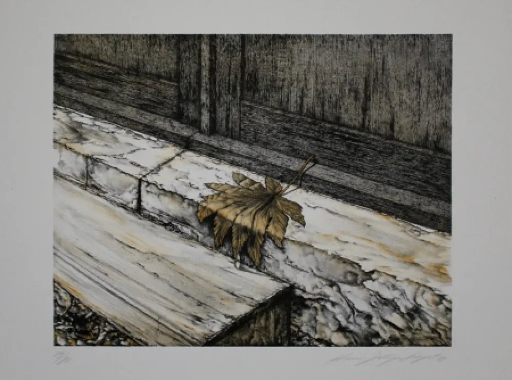 Litografia Siegert - Ahornblatt / Maple Leaf