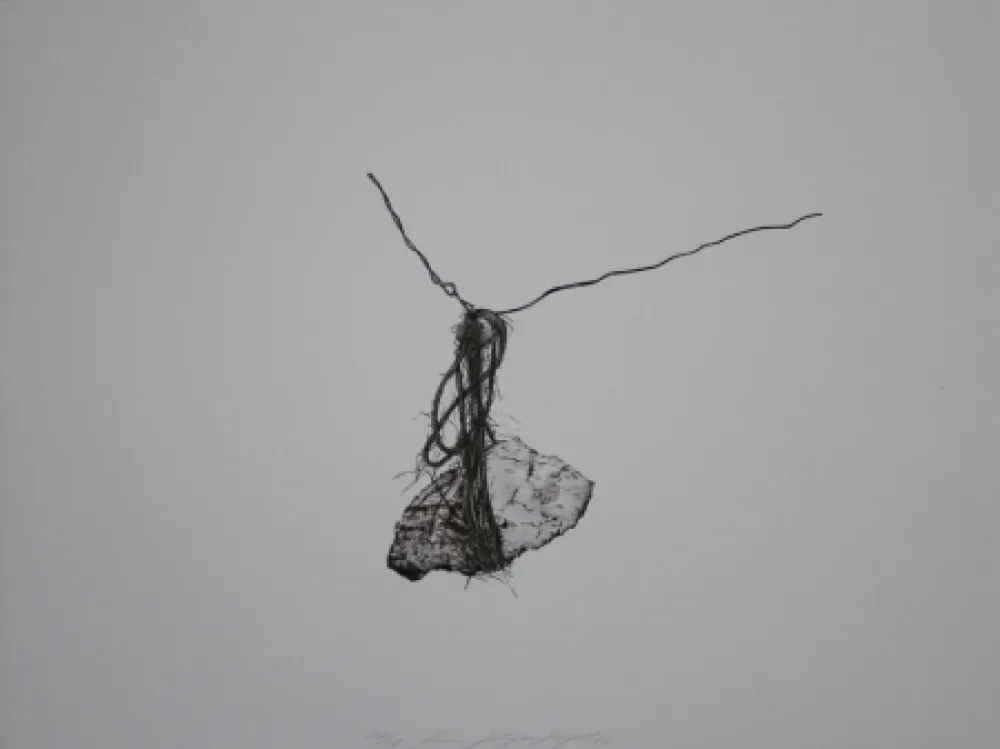 Litografia Siegert - Stein / Rock