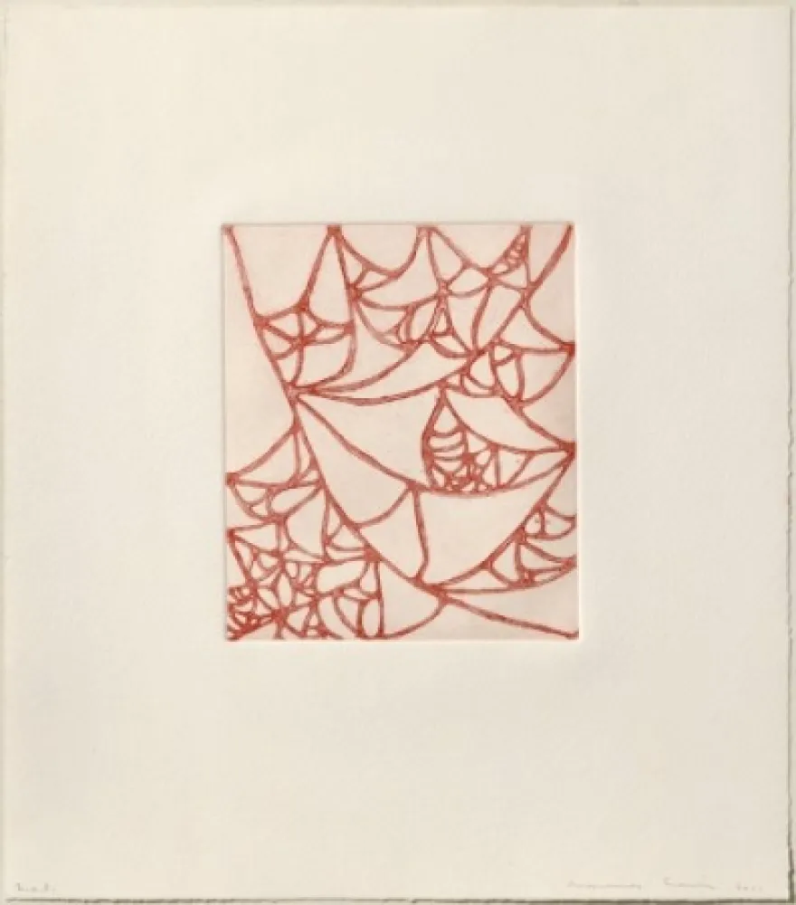 Incisione Siena - Línies pesades i infectades