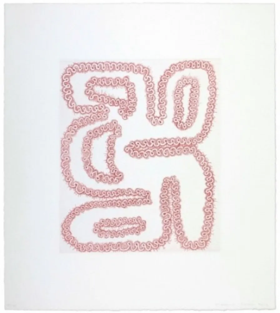 Incisione Siena - Roda tergiversada amb quatre forats