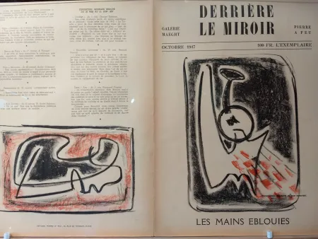 Libro Illustrato Signovert - DLM no5