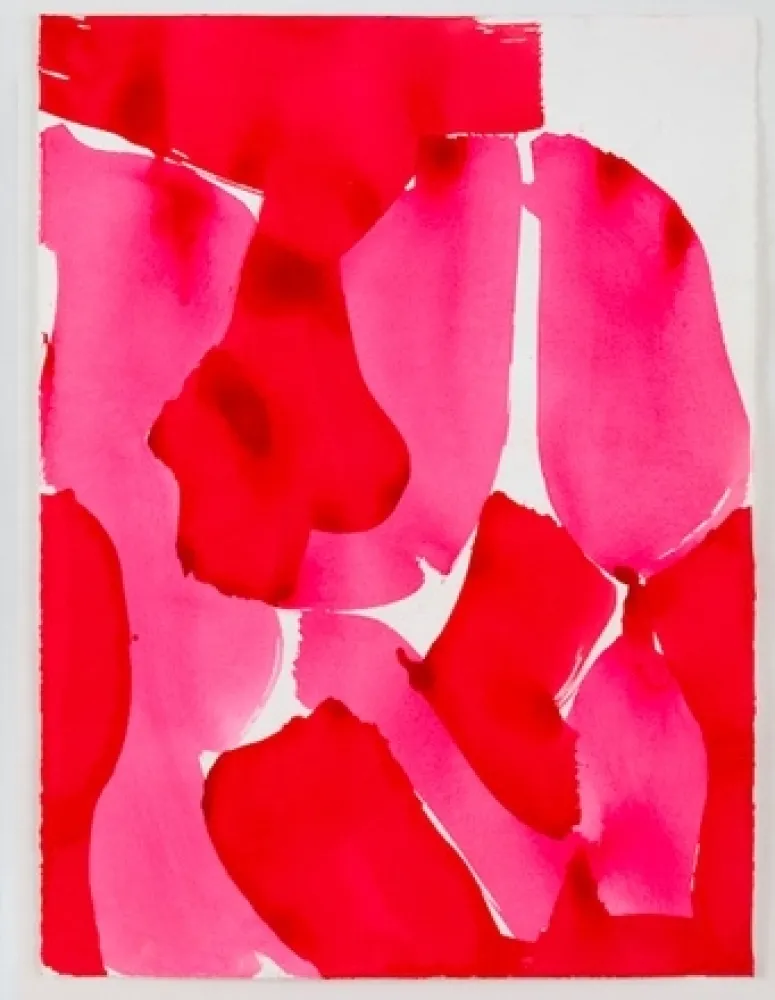Acquatinta Sillman - Pink Pink Pink Black 1