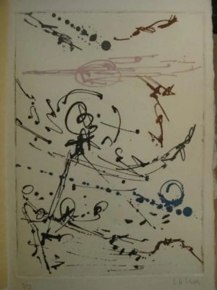 Incisione Silva - Hautes Terres